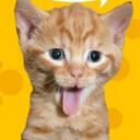 Allen Campos - @irccars - Twitter