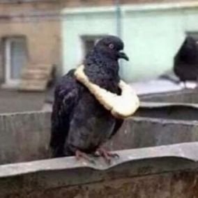 Monsieu05974229's profile picture. 