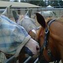 Austin Stout - @astoutkaplan - Twitter