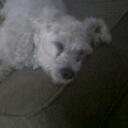 Abbie Page - @apage17 - Twitter