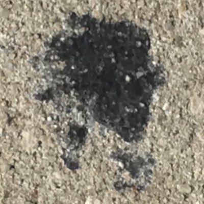 Alphonsowllams's profile picture. 