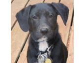 Amanda Egan - @AmandaJE1 - Twitter