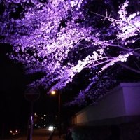 水菜 (@triggerandzool) 's Twitter Profile