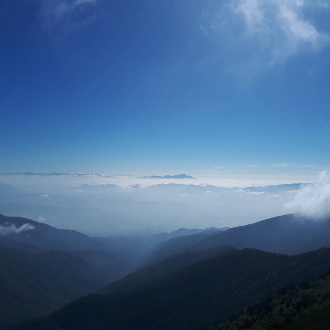 nekojun4's profile picture. #ツイは個人の見解です #保育士 #社会福祉士 #精神保健福祉士 #公認心理師 #教員免許2つ #臨床発達心理士 #修士