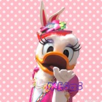 めいり (@dsy_13ts) 's Twitter Profile
