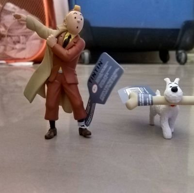 san_engineer's profile picture.