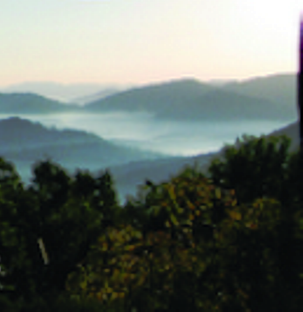 Cove_at_CeloMtn's profile picture. The Cove is a premier gated community, near Asheville NC, offering cascading waterfalls and breathtaking views overlooking the Black Mountains.