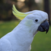 Warbird (@warbird) Twitter profile photo Warbird (@warbird) Twitter profile photo