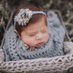 Rhys and Raeโs Creations (@rhysandraescre8) Twitter profile photo Rhys and Raeโs Creations (@rhysandraescre8) Twitter profile photo