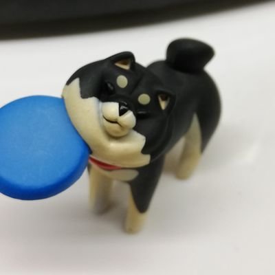 lastcode159's profile picture. 