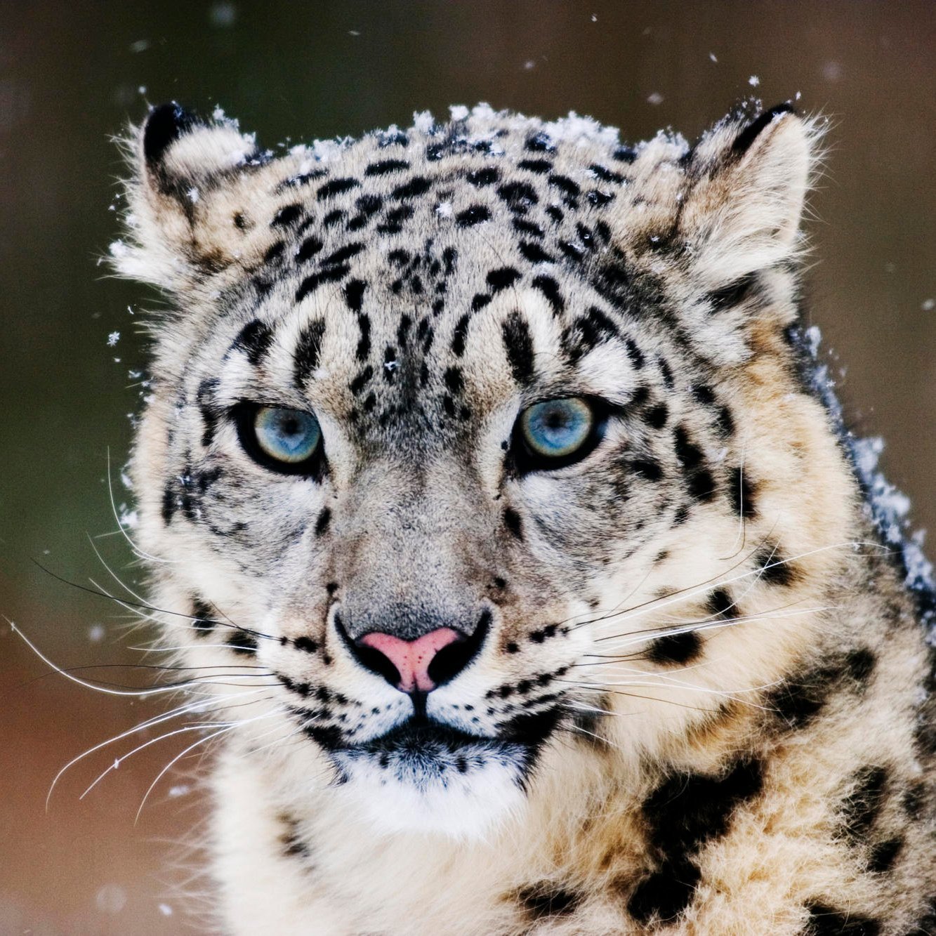 sz3f7mMOgLfjKVn's profile picture. 