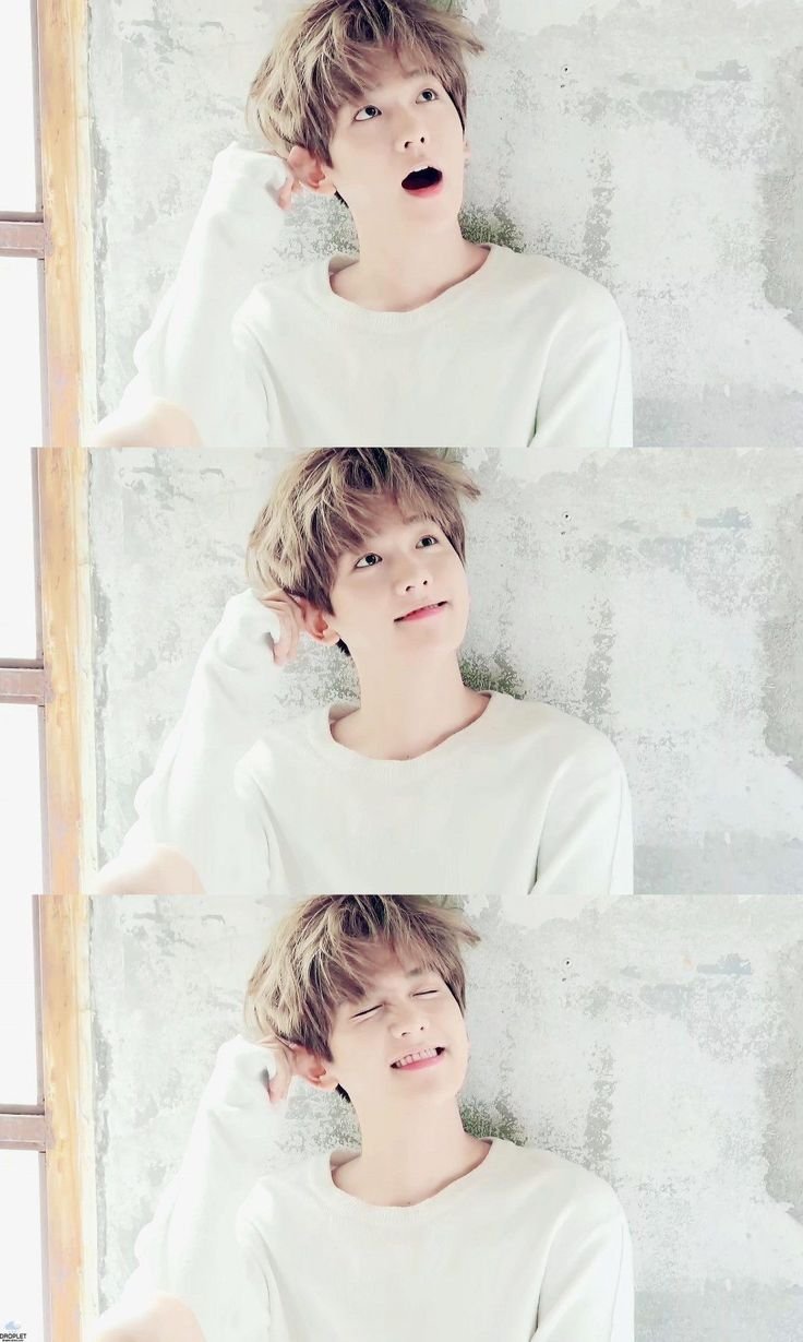 baekcutehr's profile picture. 