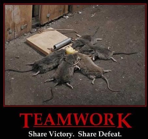Living life in the quiet lane. Beilieve in TEAMWORK.