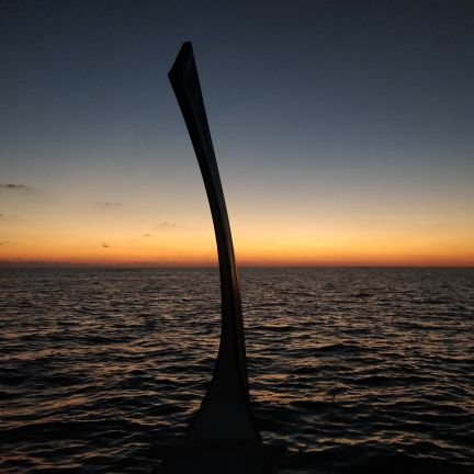 m_farahaa's profile picture. 