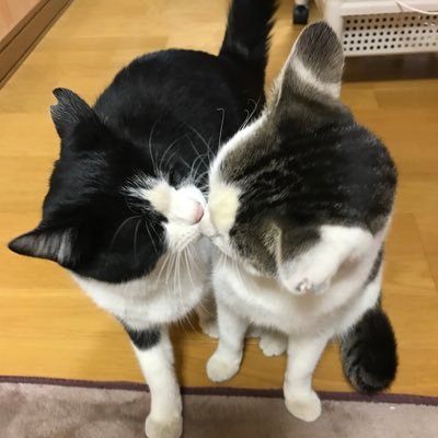 うめぼしまたさぶろうさんのプロフィール画像