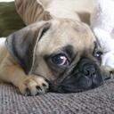 Joanne Wright - @harleychick1453 - Twitter