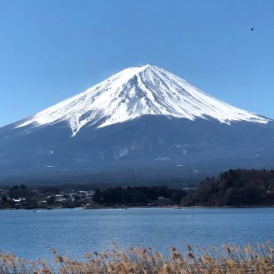 GLAY、ReN、神サイのファンです！ロードバイク乗りです！登山もします！元バレーボーラーです！近鉄電車、バスも好き！