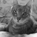 Donna Ackerman - @djack18 - Twitter