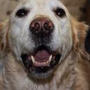 Philip J Cousins - @PhilipCousins - Twitter