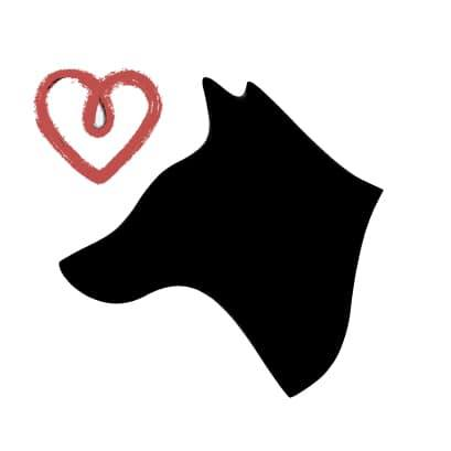 This is an appeal for anyone who can help me to raise funds for an animal shelter-Please read link
My gofundme campaign will RESCUE, REHABILITATE and RE-HOME.