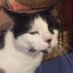 jessijessijessi (@pizzapizza941) Twitter profile photo jessijessijessi (@pizzapizza941) Twitter profile photo