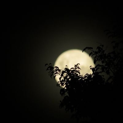 Aquí estoy, Pensando en quien soy, Desde que tu luz comenzó a brillar en tu primer aliento de vida, lleno mi vida de alegría y Amor por TI