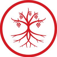 Robert Vernick (@wineterroircom) 's Twitter Profile Photo
