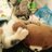 🐱ジスのアイコン