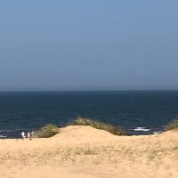 Mark Sterling. (@sterling_mark) 's Twitter Profile Photo