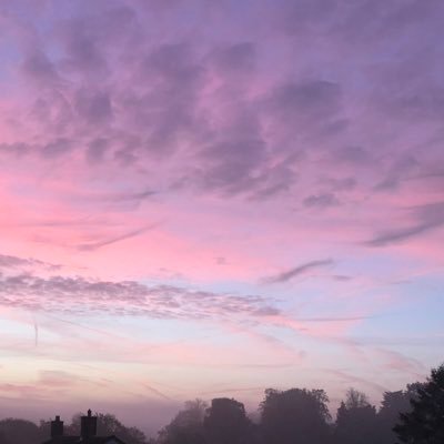 Bo361Chris's profile picture. 