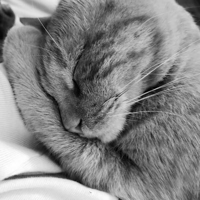 Malena33088317's profile picture. 