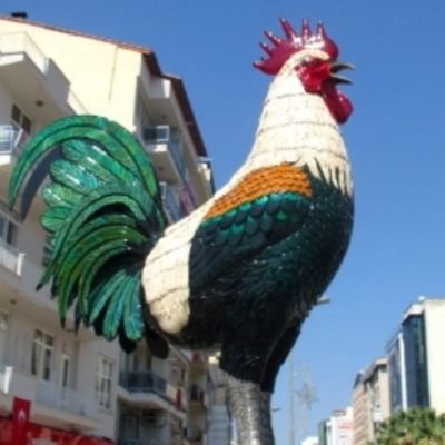 Denizli1978's profile picture. Bu dünyadaki hiç bir bayan para karşılığı kullanılacak kadar değersiz değildir. Bayanlar bir çiçektir.