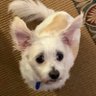yaleman43381258's profile picture. I live to learn. He/Him. Thoughts are all mine, regardless of who pays me (@splunk SURGe) @yaleman@mastodon.social