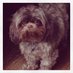 Mrs. Trimm (@mrs_trimm) Twitter profile photo Mrs. Trimm (@mrs_trimm) Twitter profile photo