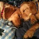 Amanda Thiel - @9thiel - Twitter