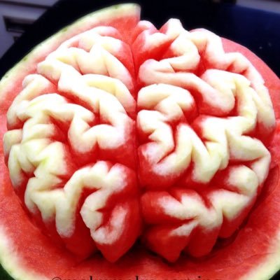 ナイフ1本でスイカに脳みそを彫刻します🧠🍉研究室は大阪天満橋にございます。脳みそスイカを作るレッスンできますのでご興味ある方は是非研究室へ🧪 #脳みそスイカ とコラボして下さる方歓迎 ✨パフォーマンスやパーティーへのケータリング致します。お仕事依頼はDMください📩