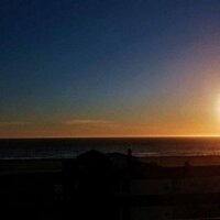 dogtown (@dogtown) 's Twitter Profile