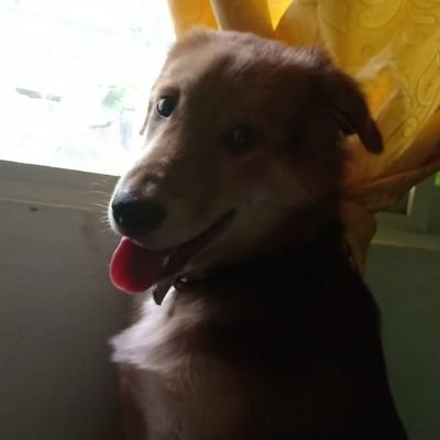 floatiefx's profile picture. 