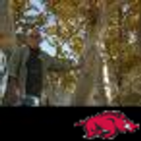 Btoff49 🐗 (@btoff49) 's Twitter Profile