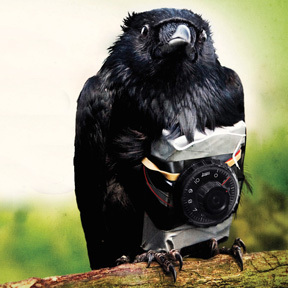 4lionsfilm's profile picture. Four Lions is a whip-smart laugh out loud comedy that illuminates the war on terror through satire and farce.