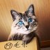 おしけん (@oshikenhalnatsu) Twitter profile photo おしけん (@oshikenhalnatsu) Twitter profile photo