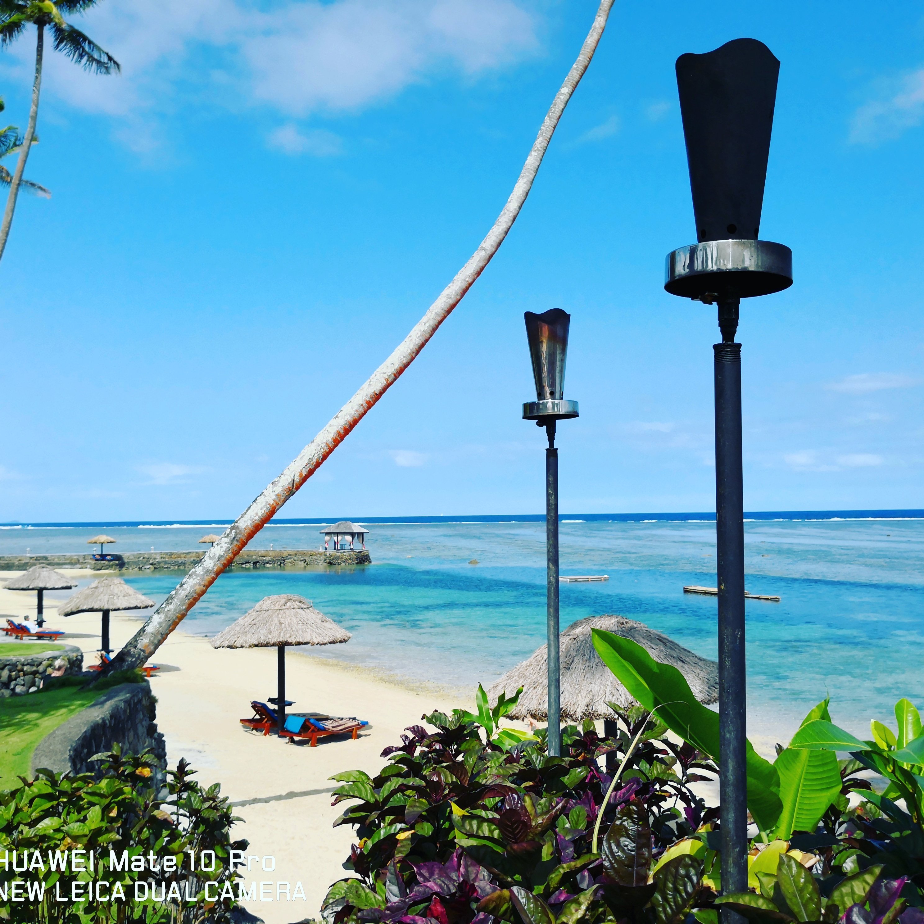 d20_damj's profile picture. 