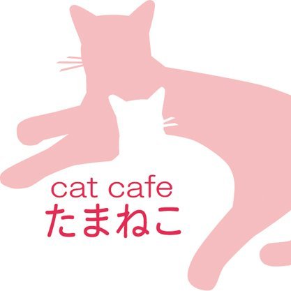 ねこカフェ「たまねこ」2008年8月多摩市初オープン (@obanyan) / Posts / X