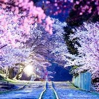 ウォーキング好き (@fragjjufdxxbhk) 's Twitter Profile Photo ウォーキング好き (@fragjjufdxxbhk) 's Twitter Profile Photo