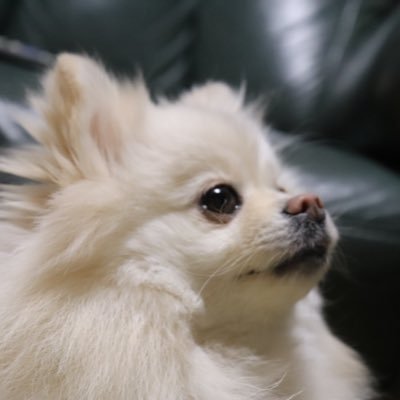 kt_PPkkper25's profile picture. 