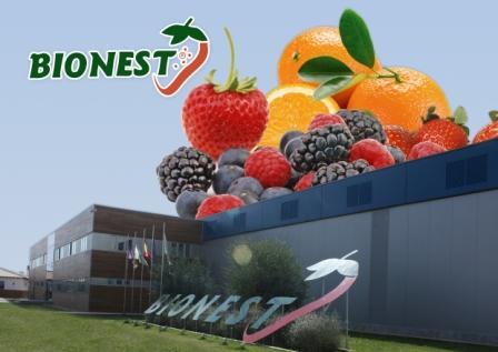 Empresa familiar especializada en la producción y comercialización de frutas y hortalizas ecológicas certificadas.