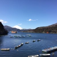 ボルボックス (@s_volv) 's Twitter Profile