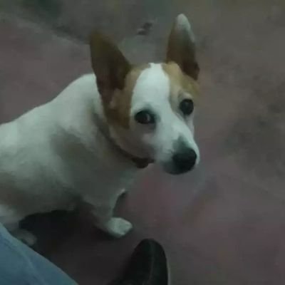 Traytiko's profile picture. 