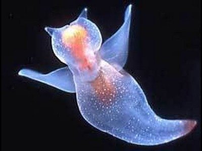 zer048691's profile picture. k3ob