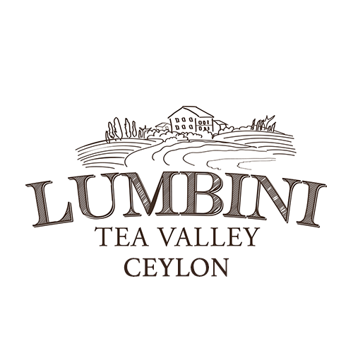 We believe in changing the way people think about living healthy. A lifelong passion to transform how people drink tea. We happen to be Tea Farmers.